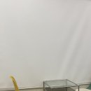카페오브젝트 이미지