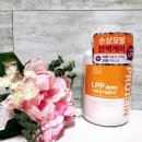 영뷰티살롱 | 올리브영트리트먼트추천 박준뷰티랩 LPP트리트먼트 단백질트리트먼트 사용후기