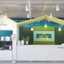 WALWAL(왈왈) 이미지