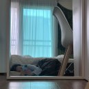 요거트루츠 이미지