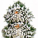 수원-0426 이미지