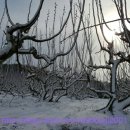 영배농장 이미지