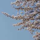 방화근린공원 이미지