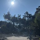 블랙트리하우스 | [24.10.19] 하츄핑, 조아핑 그리고 글램핑 (영흥도, 블랙트리하우스)