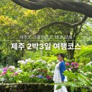 천지연랜드식당 | 제주도 2박 3일 여행 코스 직접 다녀온 후 만든 관광지도 리스트 20곳