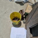 대명태양광발전소 이미지