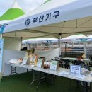 고성군스포츠타운 축구장 이미지