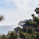 간월도맛동산 | 바다위 암자, 간월암에 다녀오다