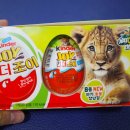 킨더조이 나툰즈 아기 동물 시리즈 너무 귀엽자나