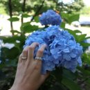 이화피닉스요양병원 이미지