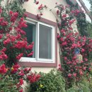 정선다온펜션 이미지