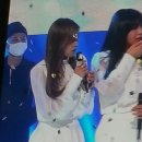 잇지 이미지