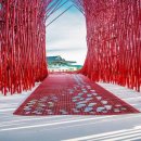 영월 Y파크(술샘박물관) 이미지