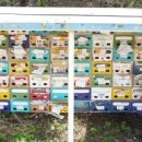 바위섬 민박 이미지