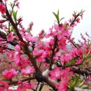 좋은날들 이미지