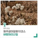 원주굽이길 원10코스 바람머리산길 이미지