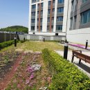 상록부동산공인중개사사무소 이미지