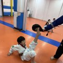 키움태권도장 이미지