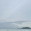 [4월 제주도] 두번째로 함께한 제주도 4박5일 일정의 시작!! 근데 고사리장마를 곁들인..-1편