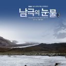 내셔널지오그래픽 - 정읍시 중앙로 129 | 내셔널지오그래픽