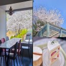 고강체육관 | 서울근교 부천 까치울 벚꽃 카페 데이트 soe