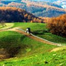 메이페어 이미지