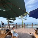 궁촌 | 삼척 레일바이크 궁촌정거장 후기, 바다 따라 달린 시간