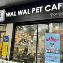 왈왈이애견카페웨스턴돔점 이미지