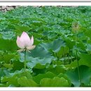 다산1리 이미지