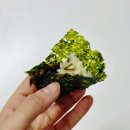 우리맛김