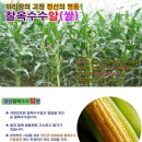 광양매실생산자단체