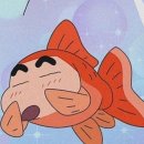 유니버시아드레포츠센터 이미지