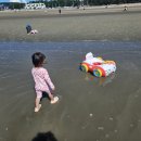 고창황금민박 | 고창 구시포 해수욕장