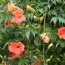 운기농장 이미지