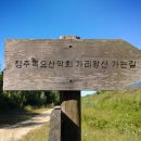 가리왕산가는길