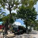 굿모닝스파 | [푸꾸옥] 새벽 도착 유주 스파 이용 내돈내산 후기(공항 픽업 서비스)