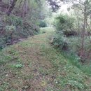 황금빛농장 이미지