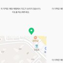 퍼피댕 강아지분양 안심분양소 청주점 말티푸미니비숑토이푸들 이미지