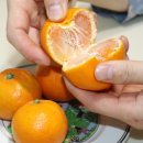 순연농장 이미지