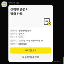 [제주] 렌터카 후기 / 면허증 없을 때 대처법