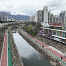 천변3호 이미지