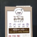 로히펫살롱 이미지