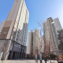 도담동_늘봄초등학교 이미지