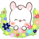 레아필라테스