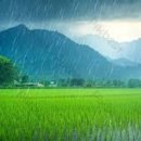 복 돼지와 김진사(金進士) - 유광수(연세대 교수) 이미지