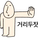 쿨한 강아지 이미지