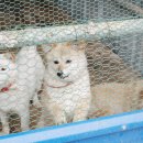 여주-0705 이미지