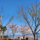 레인보우펜션 | 남해반값여행 숙소추천)레인보우펜션 파랑방후기 벚꽃+오션뷰 제로페이⭕️