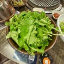 열무밭에 돈 이미지