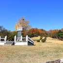 대가면 옥성리 산 30-1 | 성주군 - 동강 김우용 신도비, 심산 김창숙 생가, 청천서당, 성주 옥성리 의열각